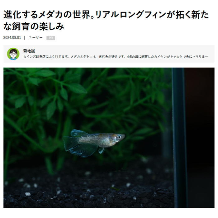 となりのカインズさん「進化するメダカの世界。リアルロングフィンが拓く新たな飼育の楽しみ」